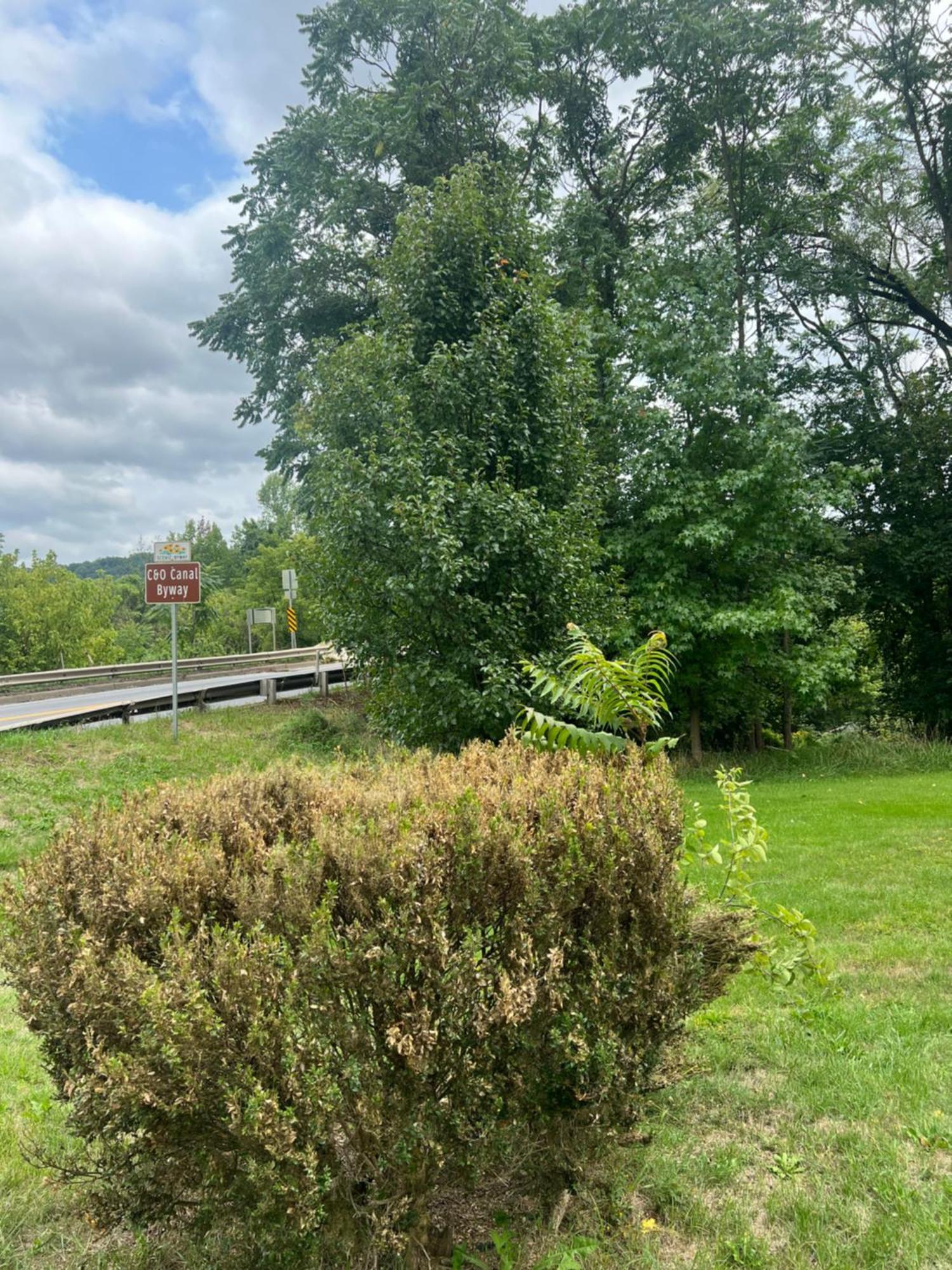 Potomac River Motel Hancock ภายนอก รูปภาพ